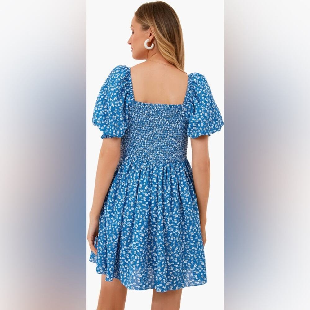 Tuckernuck Hyacinth House Ditsy Floral Pai Dress - Picture 4 of 8